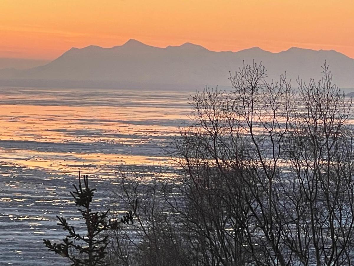 Frenchy'S Adventure Bed And Breakfast Anchorage Exteriör bild